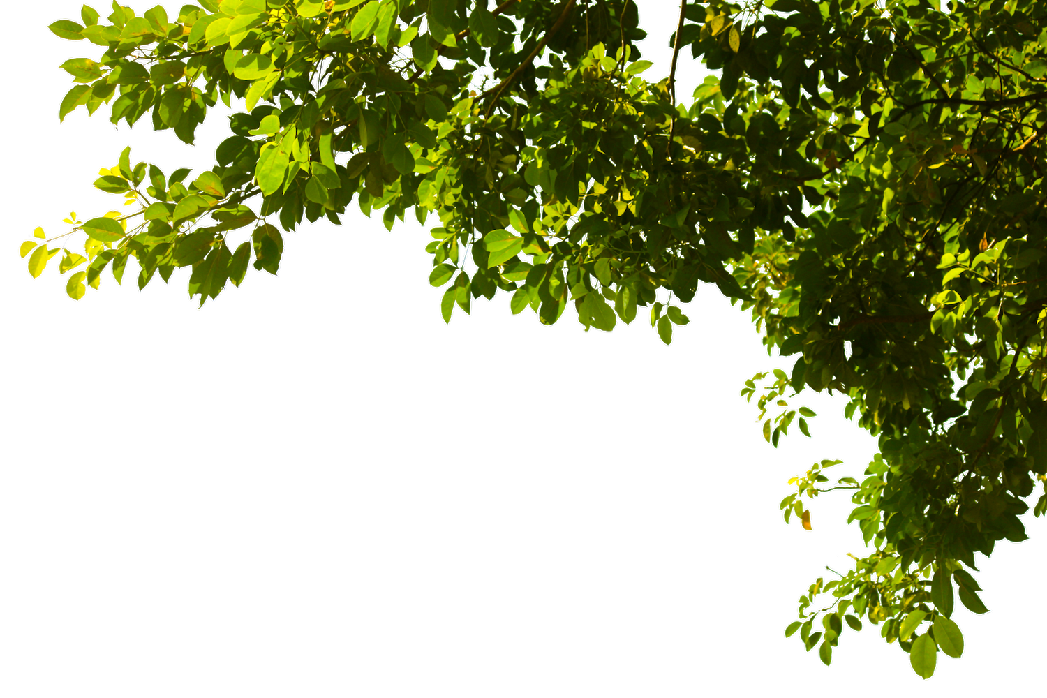 © D85studio - stock.adobe.com © D85studio - stock.adobe.com