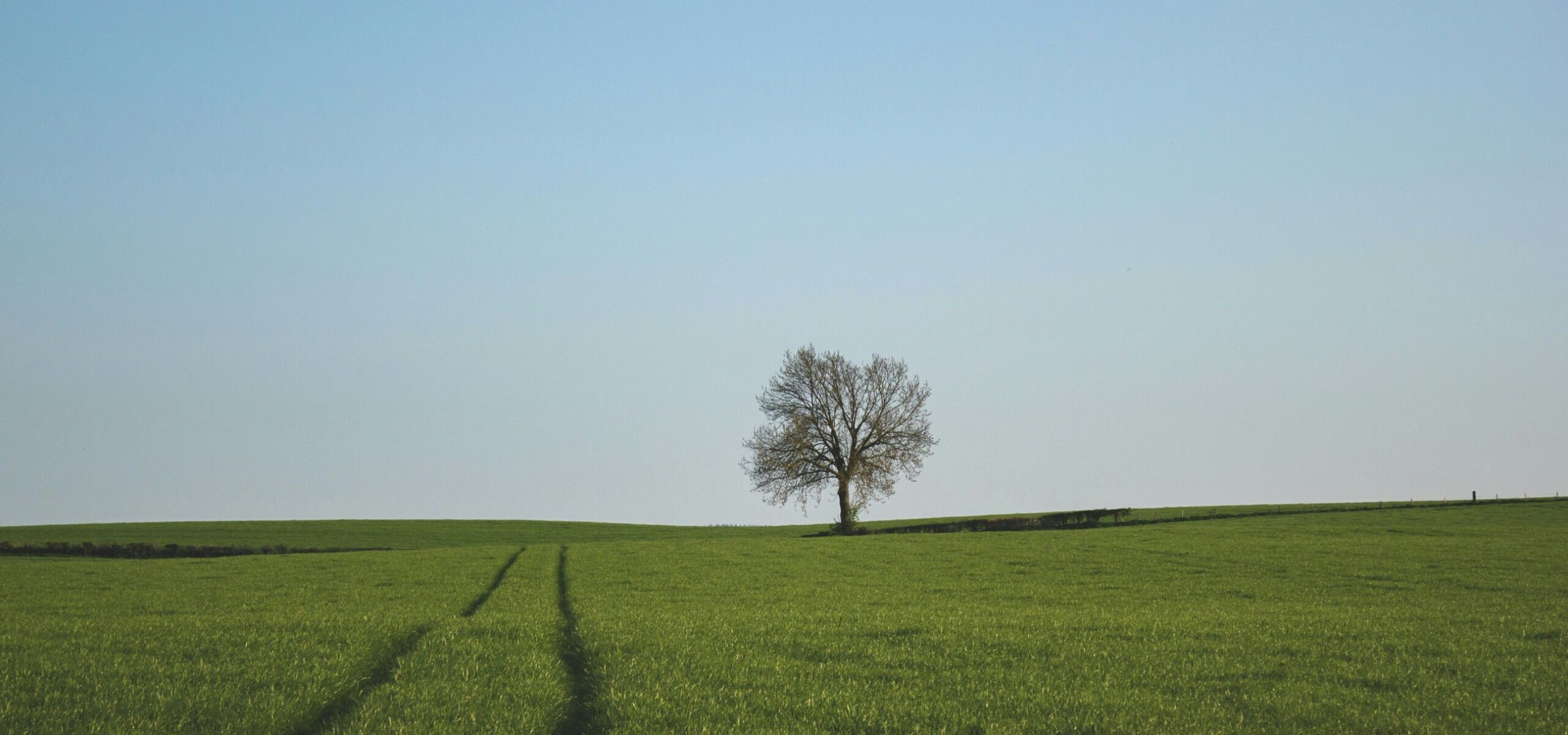 © John Mark Arnold - unsplash.com © John Mark Arnold - unsplash.com